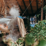 The Art of Pine Essential Oil Production by the Bergila Family