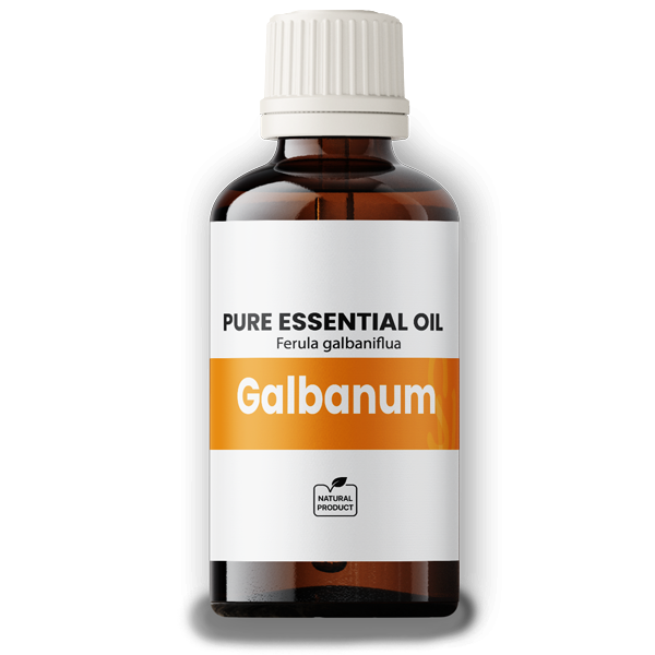 Galbanum 50ml