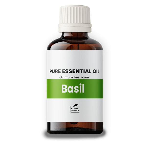 Basil Oil 50ml