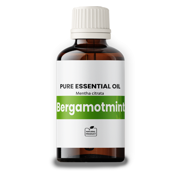 Bergamot Mint Oil BIO 100ml
