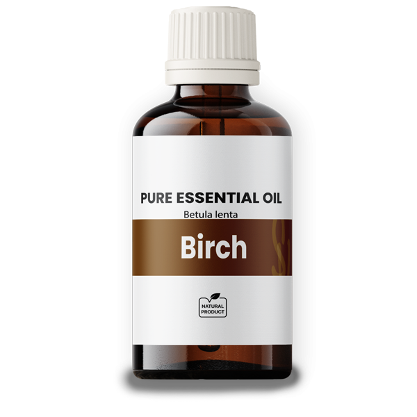 Birch Oil 100ml