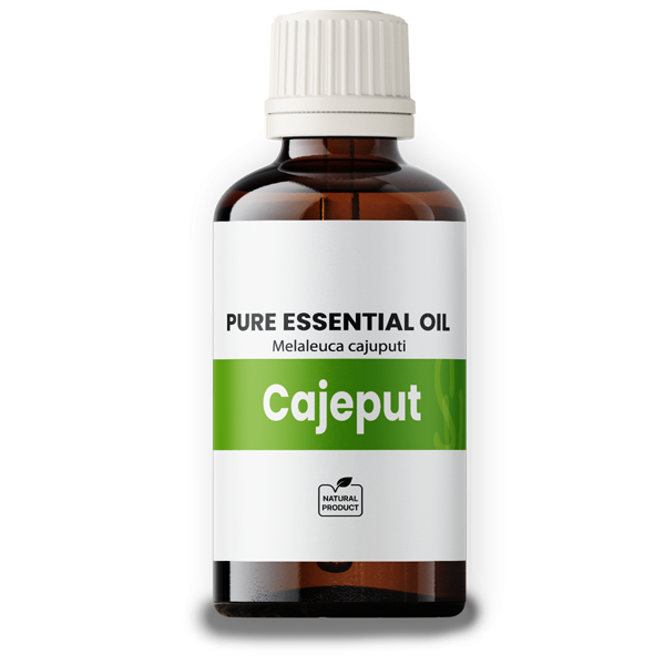 Cajeput Oil BIO 100ml