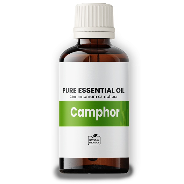 Camphor Oil 50ml