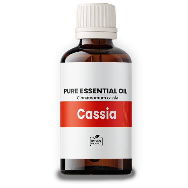 Cassia Cinnamon Oil 50ml