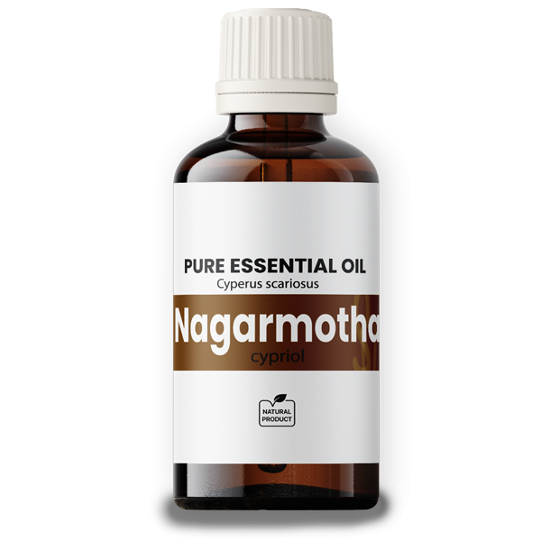 Nagarmotha Oil / Cypriol 50ml