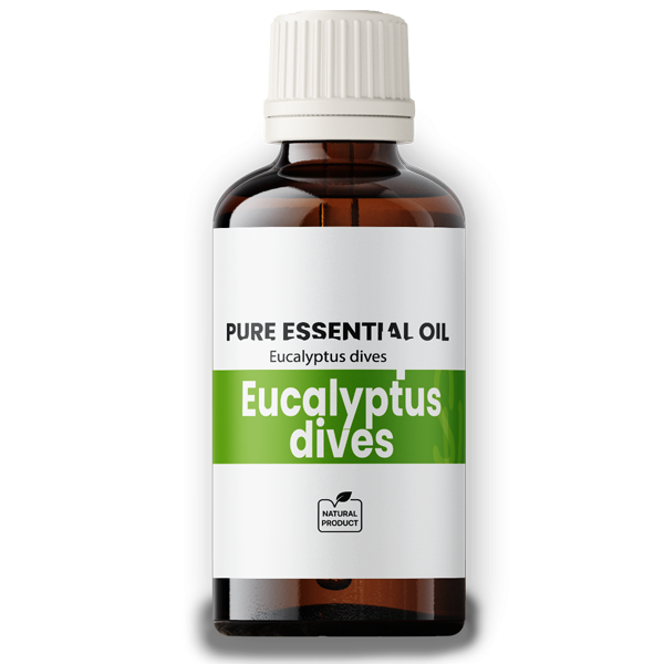 Eucalyptus Oil dives 50ml