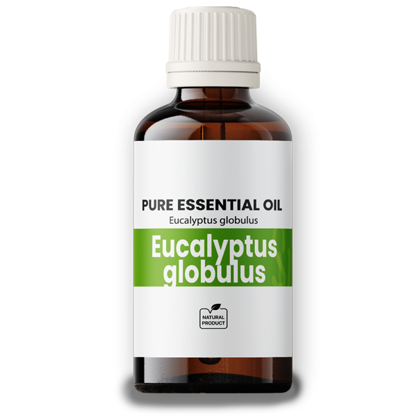 Eucalyptus Oil globulus 50ml