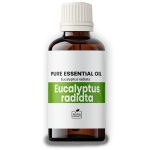 Eucalyptus Oil radiata BIO 100ml