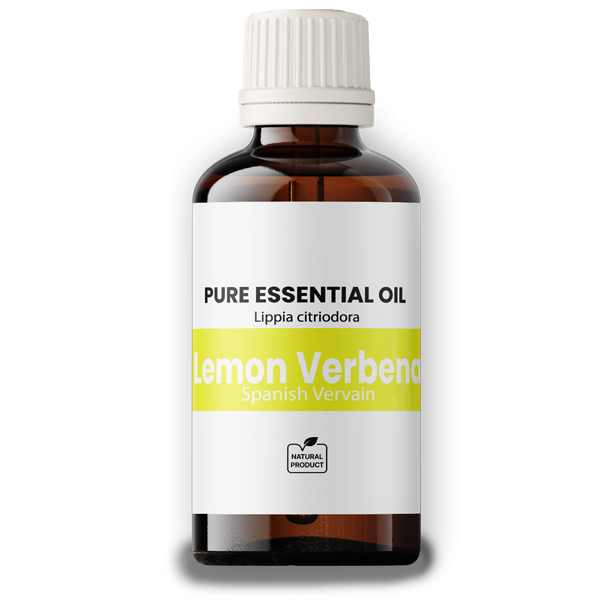 Vervain Oil Spanish (Verbena) BIO 50ml