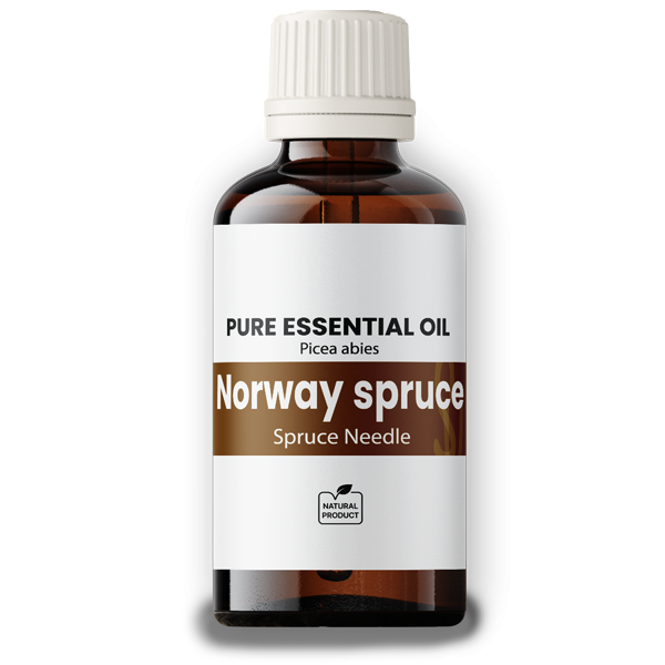 Spruce Needle (Norway) Oil 50ml