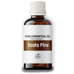 Scots Pine Oil 100ml - Pine Needle