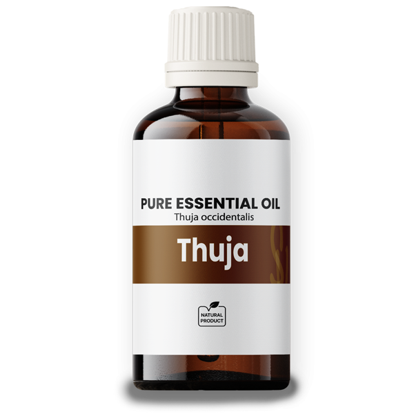 Thuja Oil 50ml