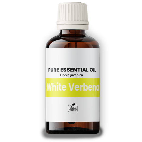 Verbena White(Lemon Verbena) 10ml